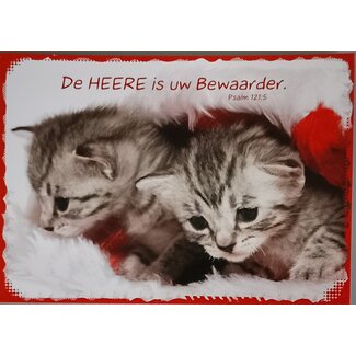 Good Seed Cards Bewaarder