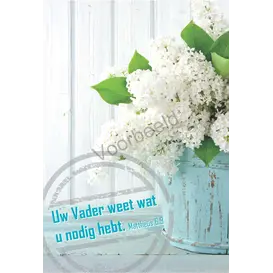 Wat u nodig heeft