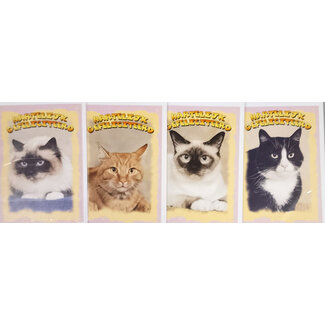 Marant Cards 4x  Gefeliciteerd - Poezen