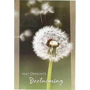 Sincere Condolences - Dandelion