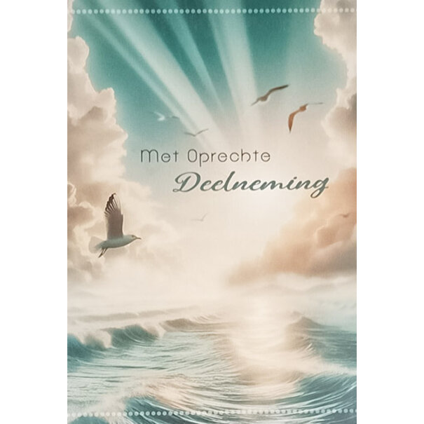 Marant Cards Sincere Condolences - Sea/Sun/Seagull