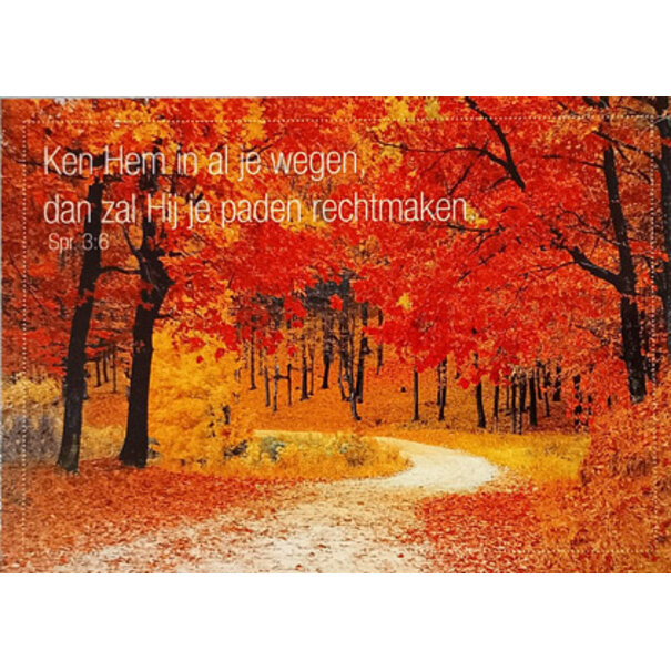 Good Seed Cards Paden rechtmaken