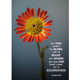 Christelijke ansichtkaart met bloem en Jesaja 40:8