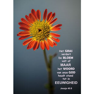 Gods Woord blijft in eeuwigheid