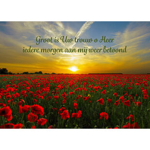 Groot is Uw trouw