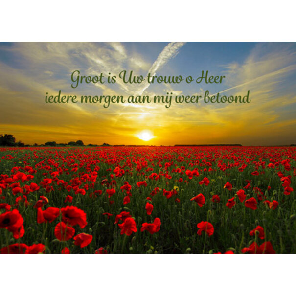 TSS-Nijkerk Groß ist deine Treue