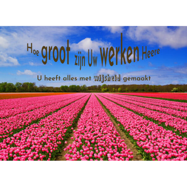 TSS-Nijkerk - Copy - Copy - Copy - Copy - Copy - Copy - Copy