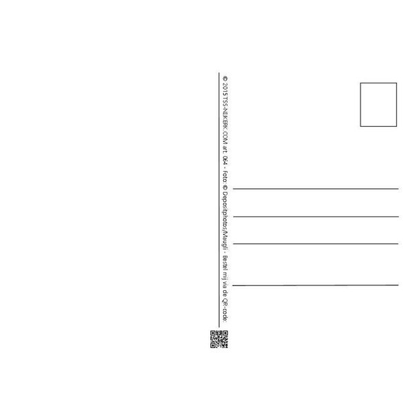 TSS-Nijkerk Boeketje
