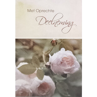 Deelneming - Witte roos