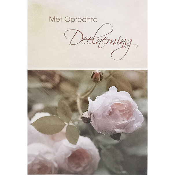 Deelneming - Witte roos
