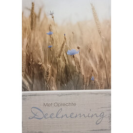 Deelneming - Korenbloem
