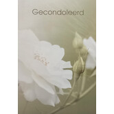 10x Gecondeleerd