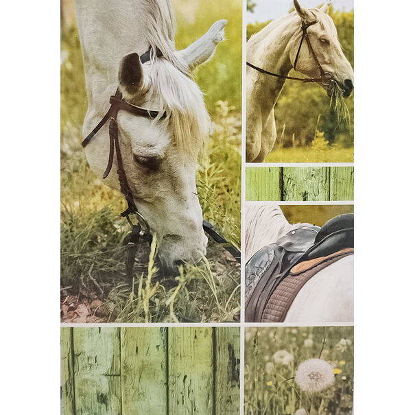 Marant Cards Paarden