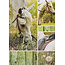 Marant Cards Paarden