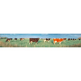 Panoramakarte der niederländischen Kühe
