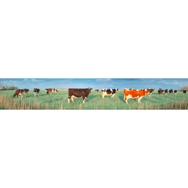 Panoramakaart Hollandse Koeien