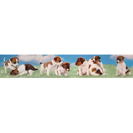 Puppy's panoramakaart