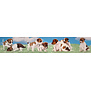 Puppy's panoramakaart