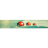 Panorama card: Good luck!