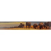 Panoramakaart Afrikaanse Olifanten