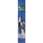 Dolphin Panorama Map