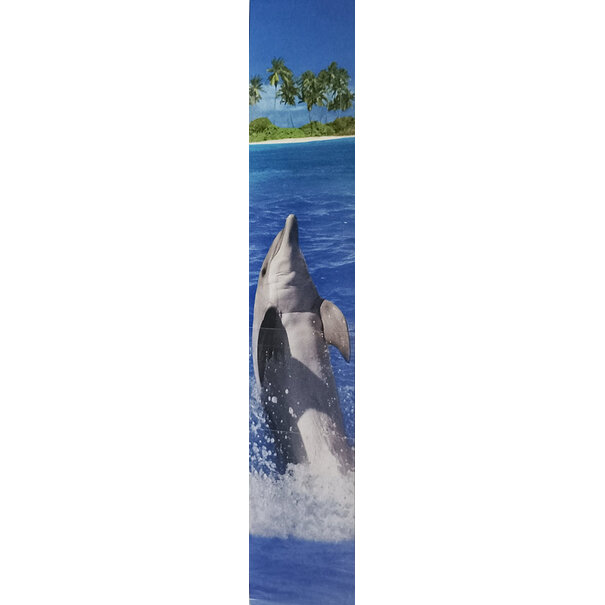 Panoramakaart Dolfijn