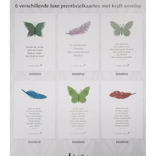 Baaij Light Cards 6 postkaarten - Joke Verweerd