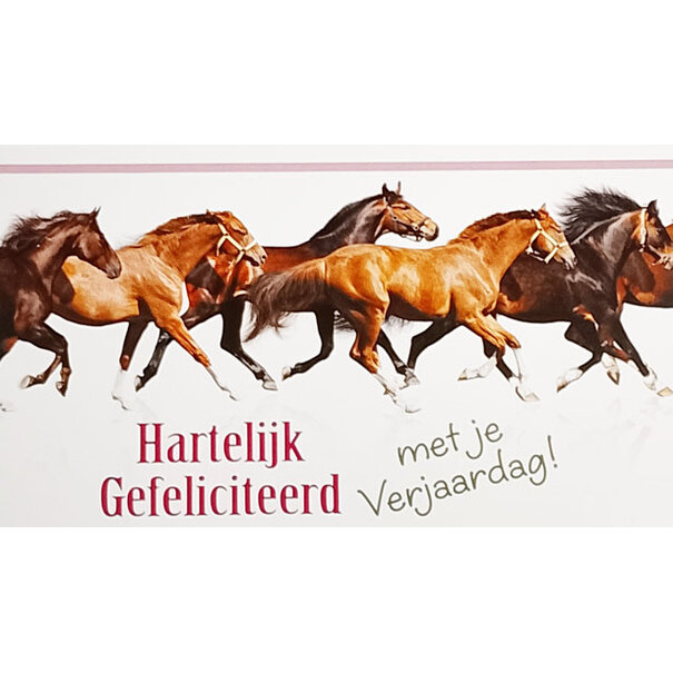 Geld-enveloppe Paarden