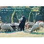 De Goede Herder
