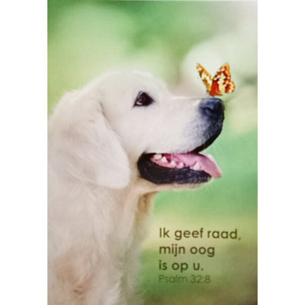Good Seed Cards Ik geef raad