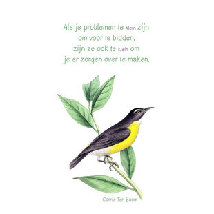 Bidden