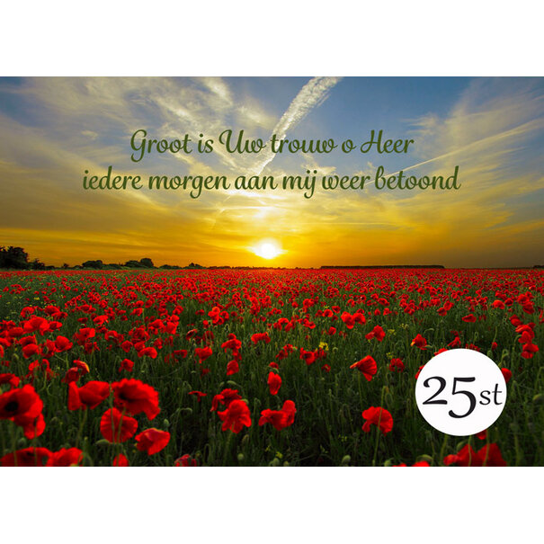 TSS-Nijkerk Groß ist deine Treue