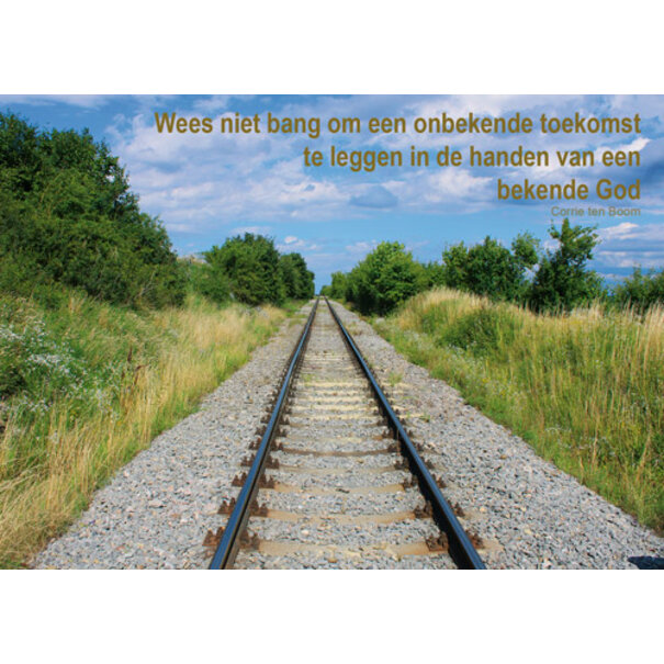 TSS-Nijkerk Corrie ten Boom: Toekomst