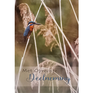 Met Oprechte Deelneming - IJsvogel