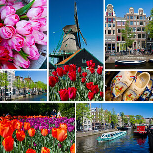 Holland Collage