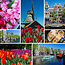 TSS-Nijkerk Holland Collage