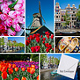 Holland Collage