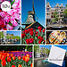 10 kaarten met 10 enveloppen