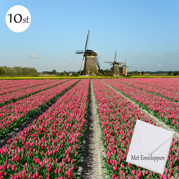 TSS-Nijkerk Hollands Tulpenveld
