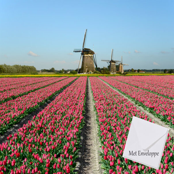 TSS-Nijkerk Hollands Tulpenveld
