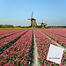 1 kaart met 1 enveloppe