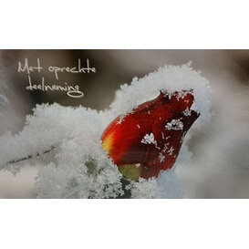 Met oprechte deelneming  - Rijp