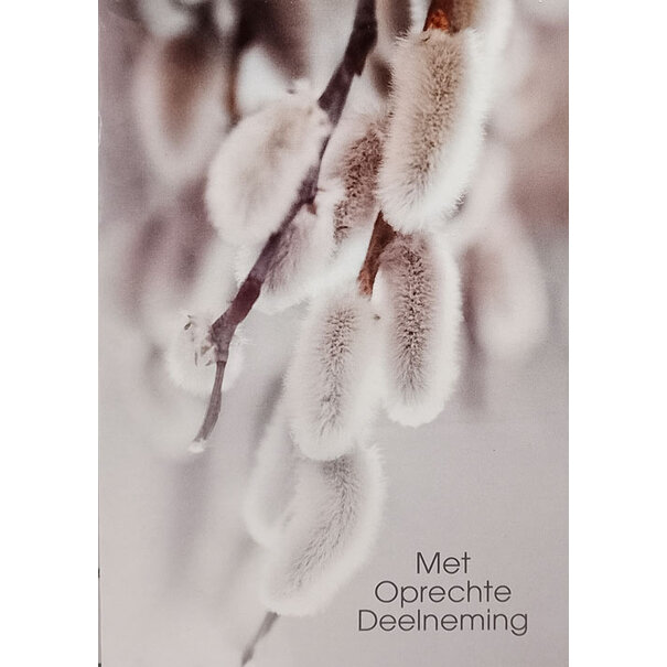 Marant Cards Condoleancekaart - Wilgenkatjes