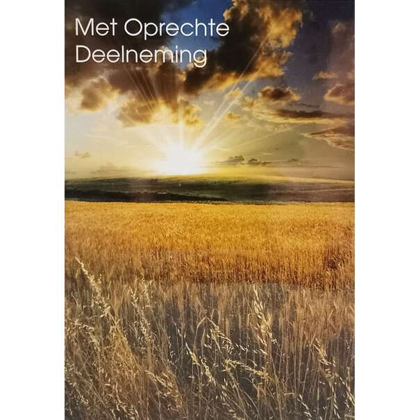Marant Cards Korenhalmen in de avondzon