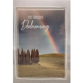 Oprechte Deelneming - Regenboog