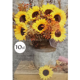 Zonnebloemen