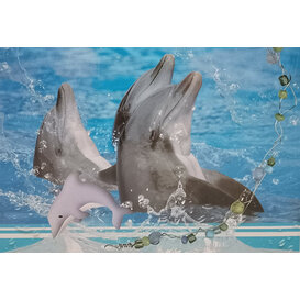 Blanco wenskaart met dolfijnen