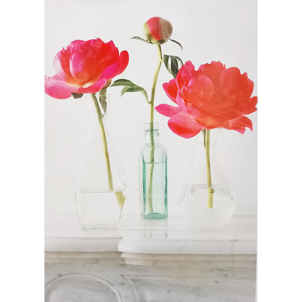 Marant Cards Pioenroosjes