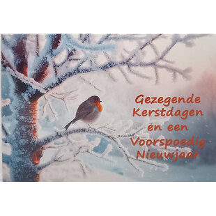 Gezegende Kerstdagen