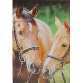Paarden